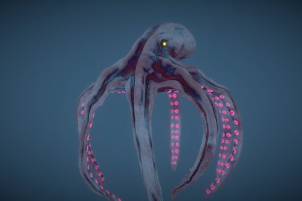 Kraken platform